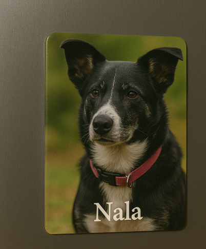 Custom Photo Magnet – 3x3, 4x4, or 6x6 Keepsake